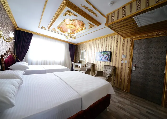 Fatih Babel Park מלון