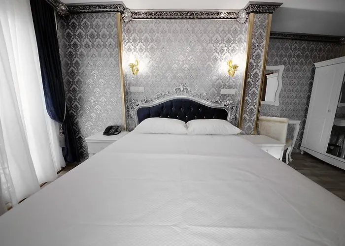 Fatih Babel Park מלון